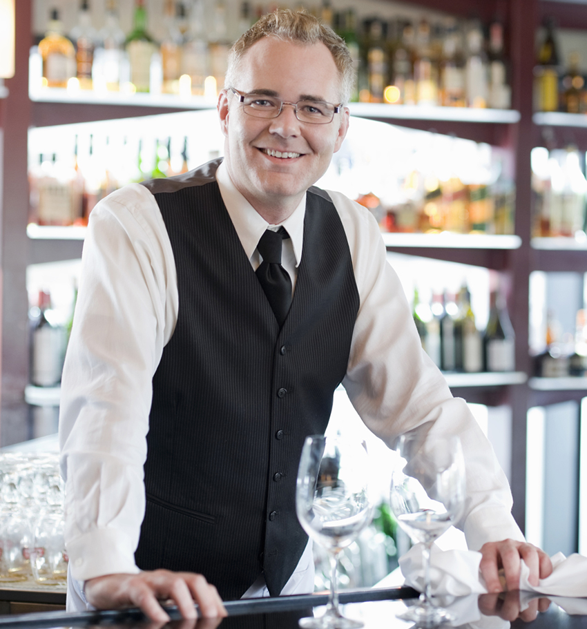 Basset Steps Training