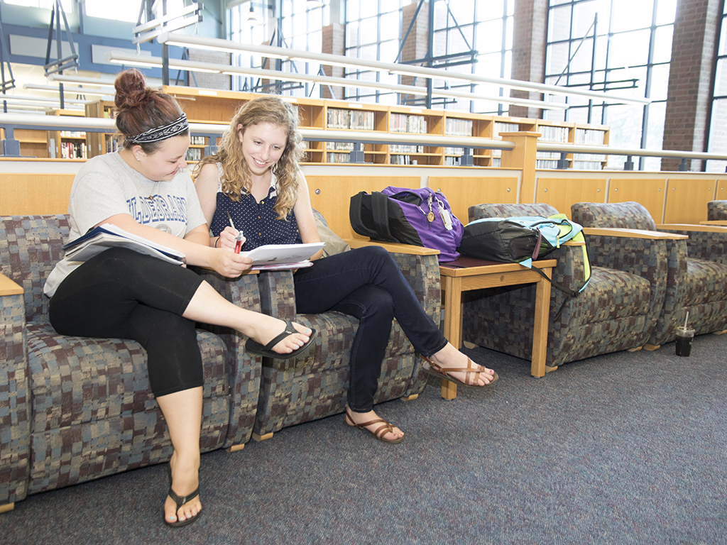 students studying in the library